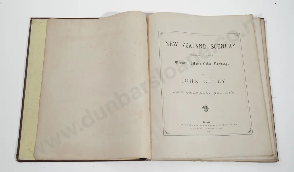 Gully John - New Zealand Scenery Image 1++