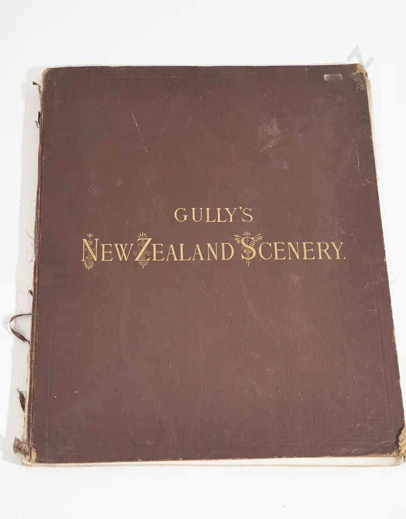 Gully John - New Zealand Scenery Image 1++