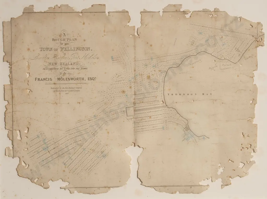 Francis Alexander Molesworth - A Rough Map Of The Town Of Wellington 1841 Image 1++