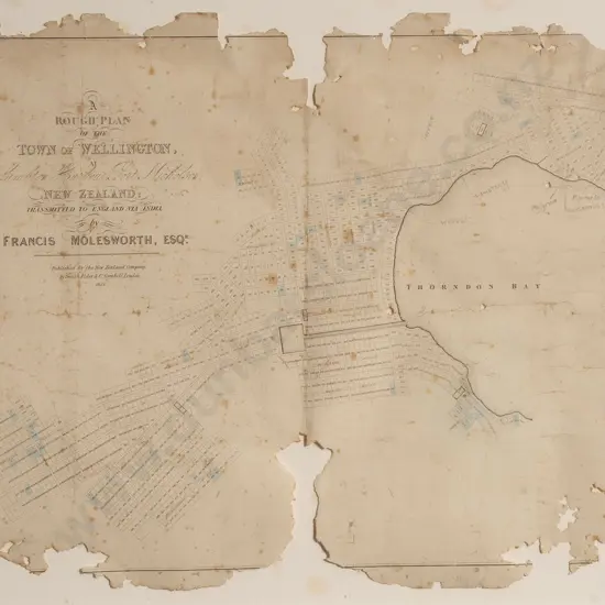 Francis Alexander Molesworth - A Rough Map Of The Town Of Wellington 1841