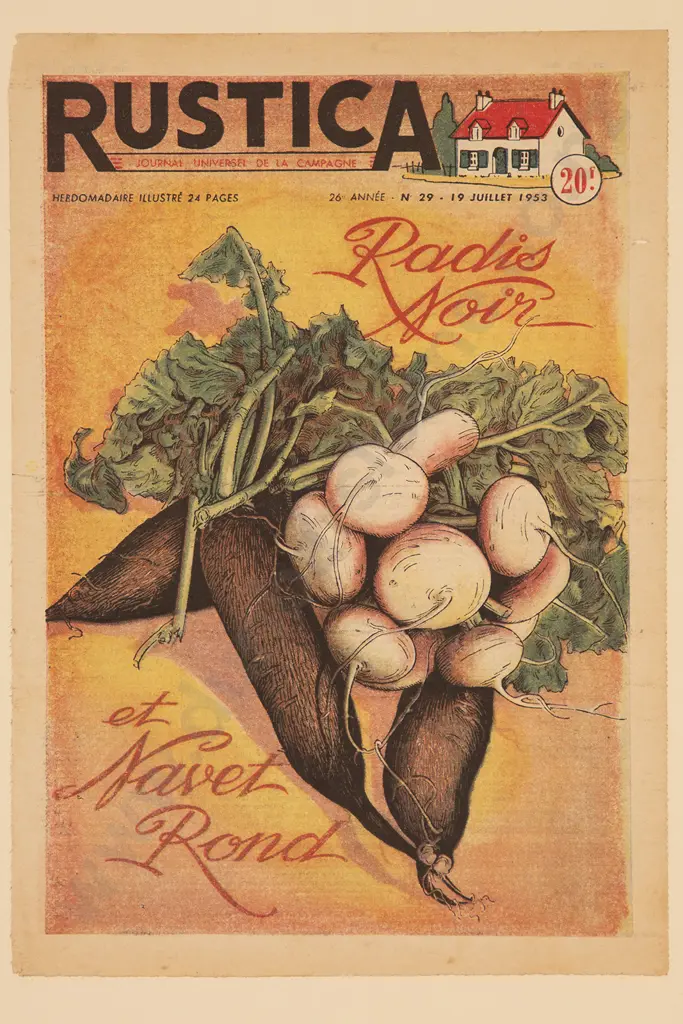 3 Circa 1950s Illustrations From Rustica Journal Universel De La Campagne Image 1++