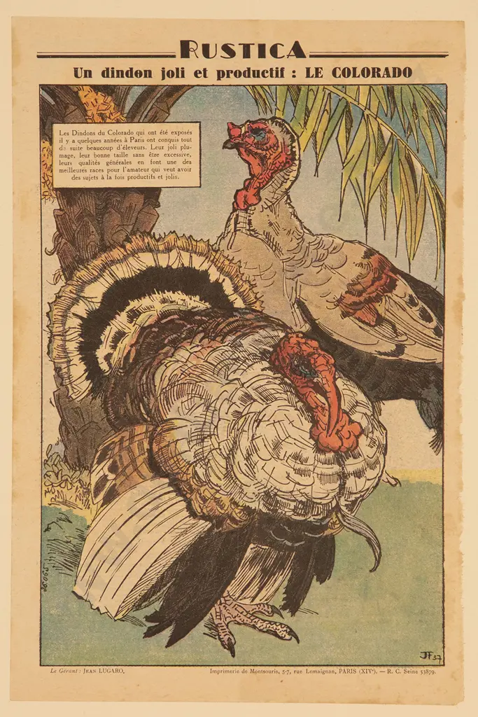3 Circa 1950s Illustrations From Rustica Journal Universel De La Campagne Image 1++