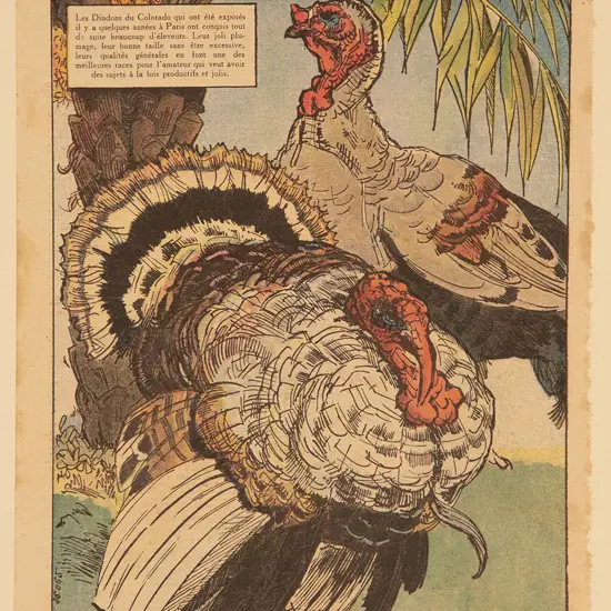 3 Circa 1950s Illustrations From Rustica Journal Universel De La Campagne