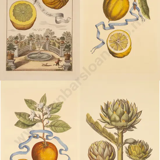 4 Coloured Prints Of Fruit & Vegetables