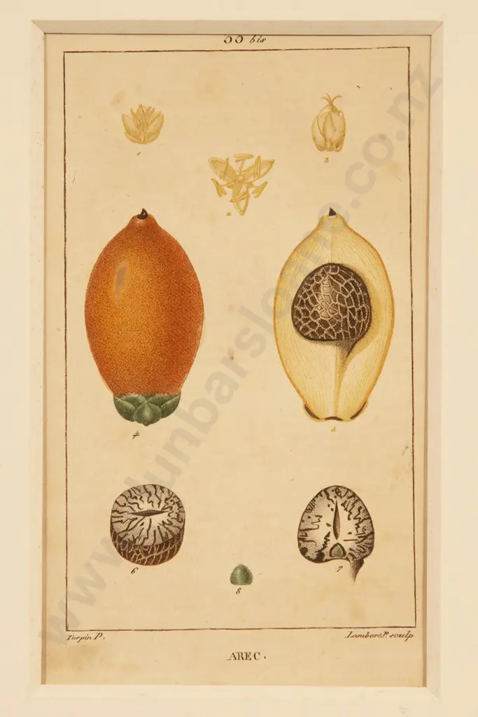 After Pierre Jean Francois Turpin - "AREC" Image 1++