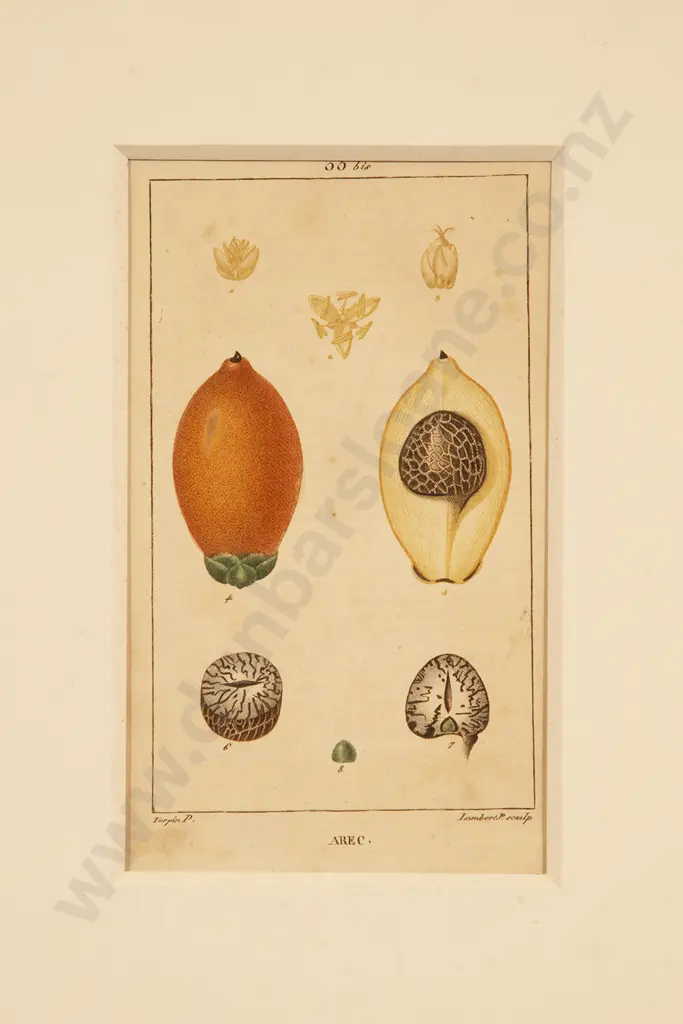 After Pierre Jean Francois Turpin - "AREC" Image 1++