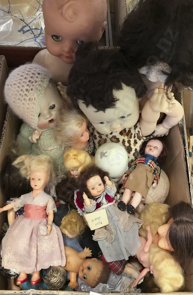 Box of Assorted Dolls Image 1++