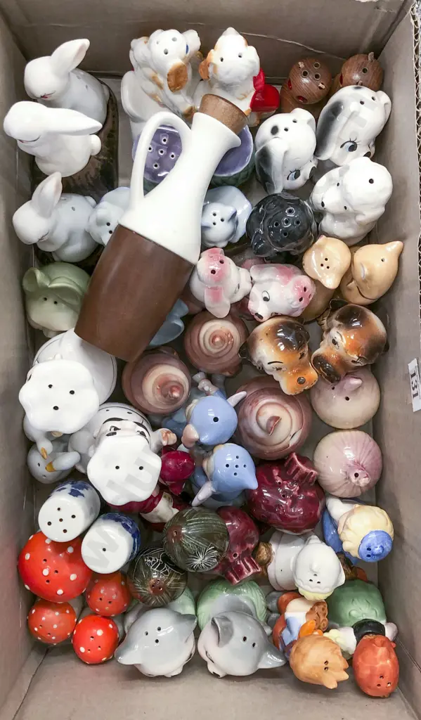 Box Quantity of Novelty Salt and Pepper Shakers Image 1++