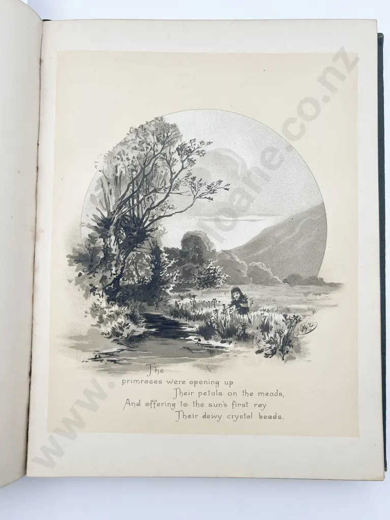 Musings in Maoriland by Thomas Brackam Image 1++