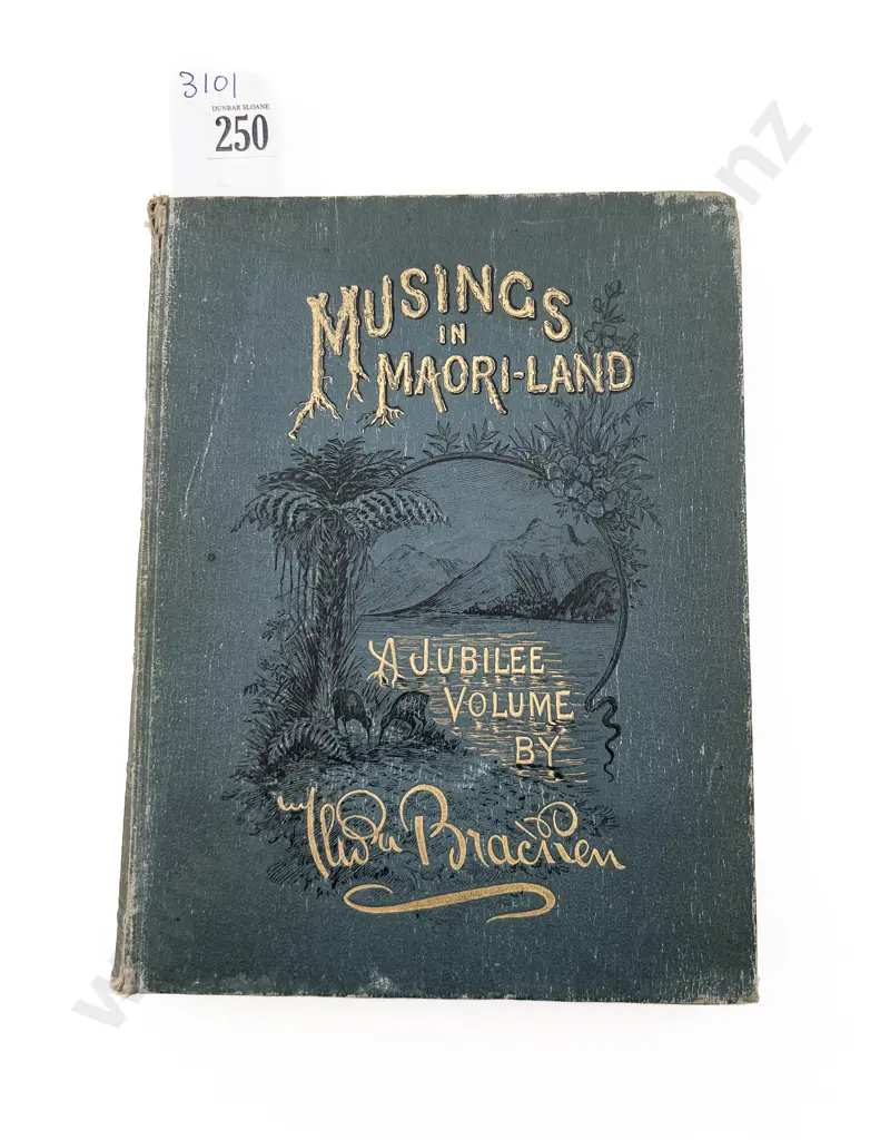 Musings in Maoriland by Thomas Brackam Image 1++