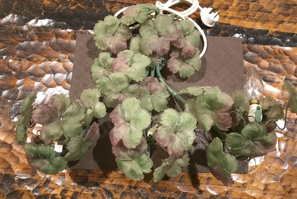 Group of Murano Glass Grape and Vine Form Light Fittings (AF) Image 1++