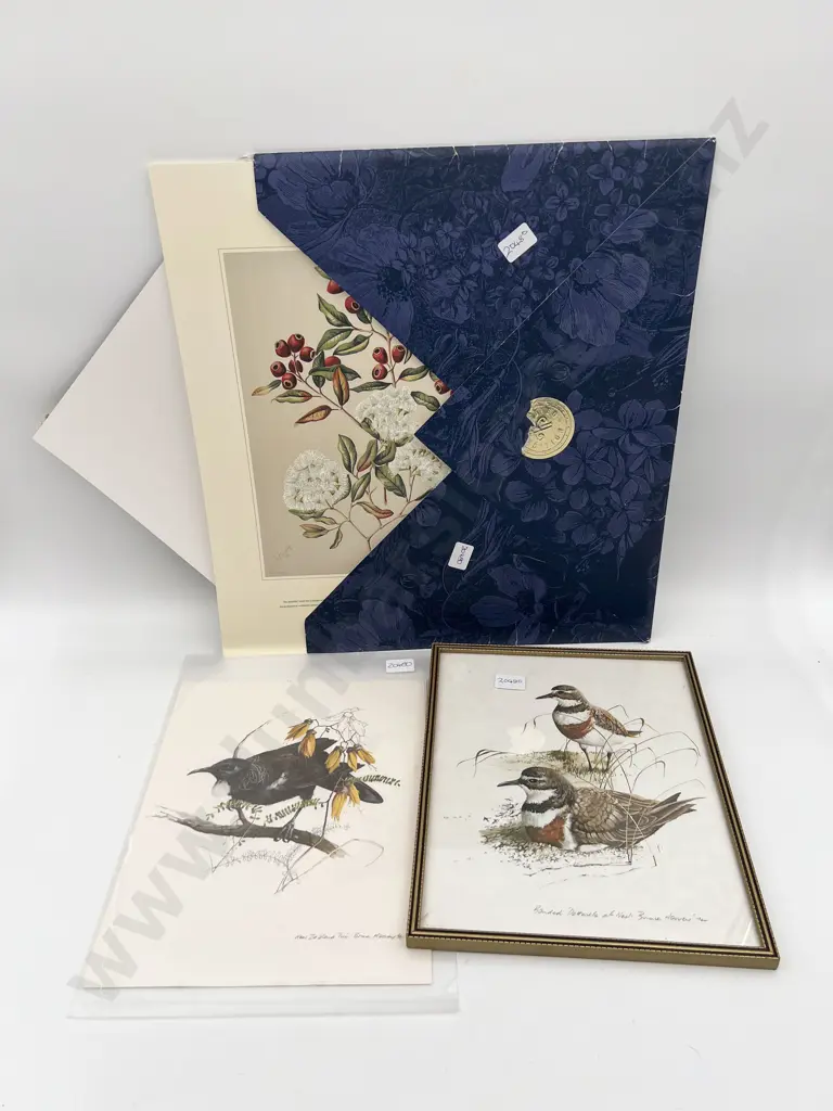 Framed Bruce Harvey Bird Study Print Together with Quantity of Assorted Loose Prints Image 1++