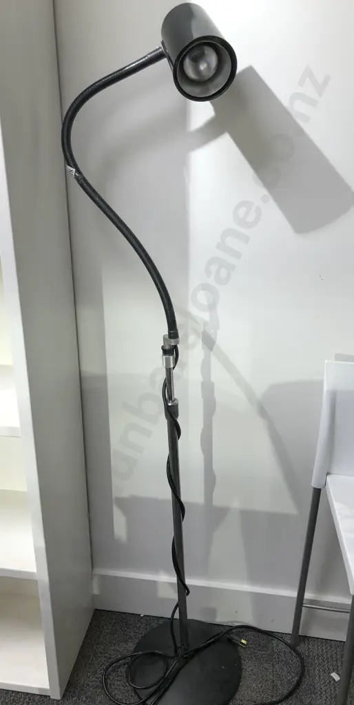 American Made Modern Standard Lamp with Adjustable Neck Image 1++