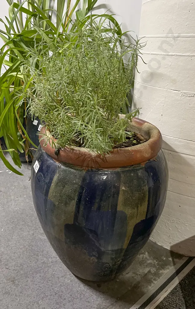 Glazed Pottery Plant Pot Image 1++