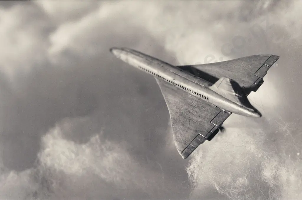 Ronnie Van Hout (b 1962) - Fly Concorde Image 1++