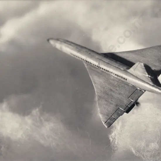 Ronnie Van Hout (b 1962) - Fly Concorde
