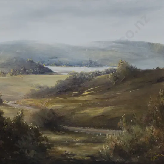 Dee Murray - Looking Toward Lake Tutira