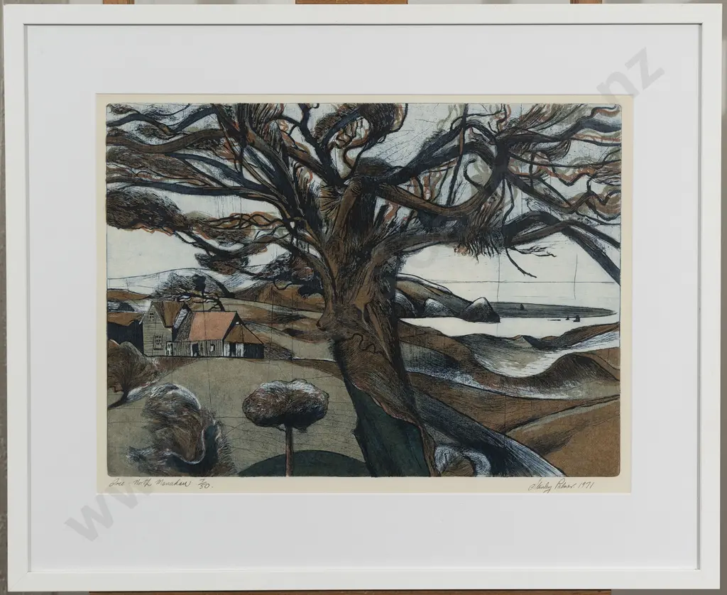 Stanley Palmer - Tree North Manukau Image 1++