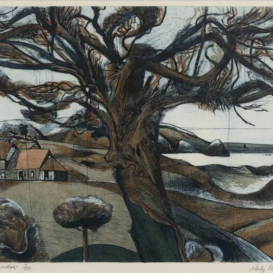 Stanley Palmer - Tree North Manukau