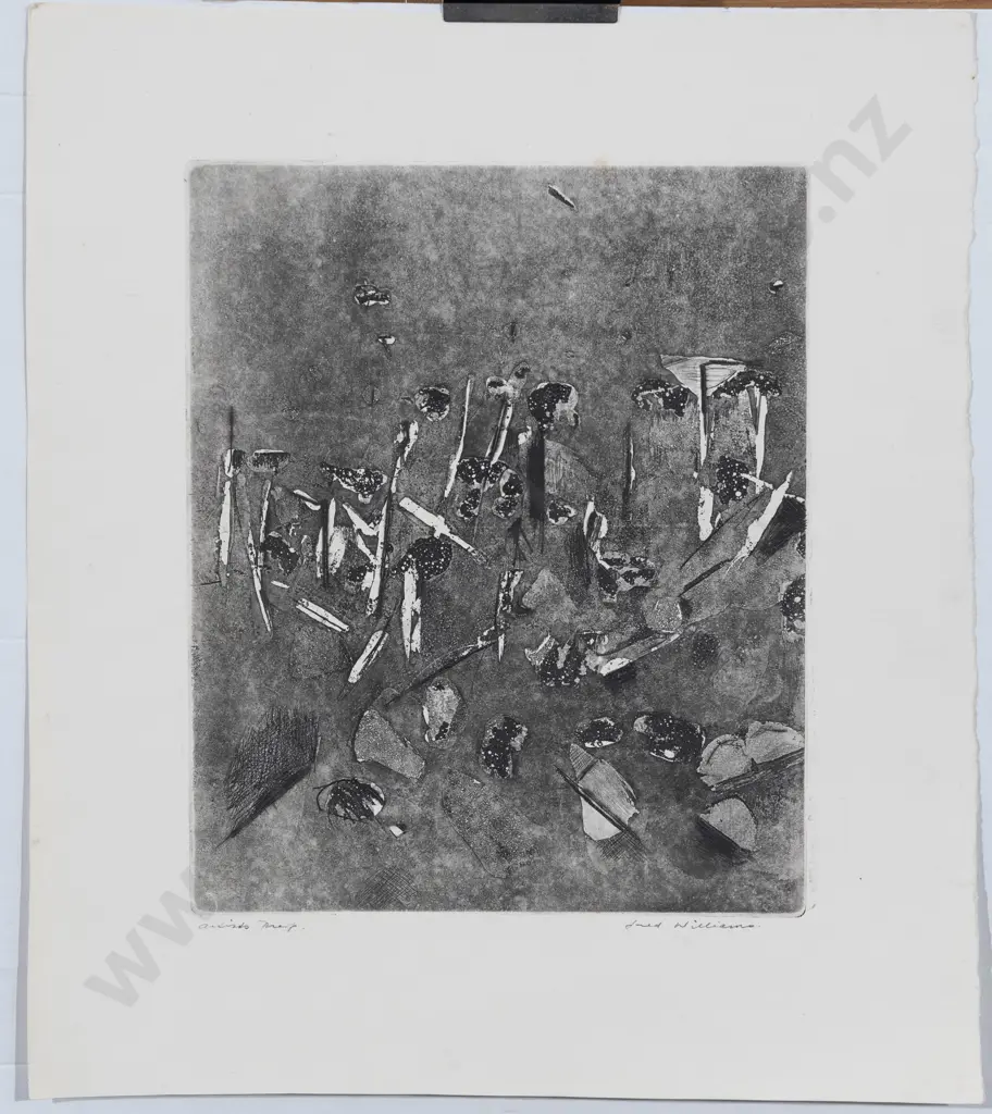 Fred Williams (1927-1982) - Untitled Etching Image 1++