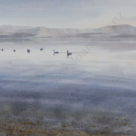 Robert McDowell -Taupo