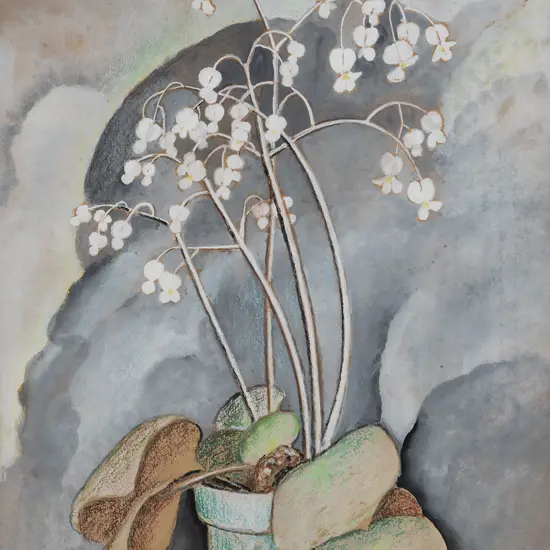 Adele Younghusband (1878-1969) - Begonia Still Life