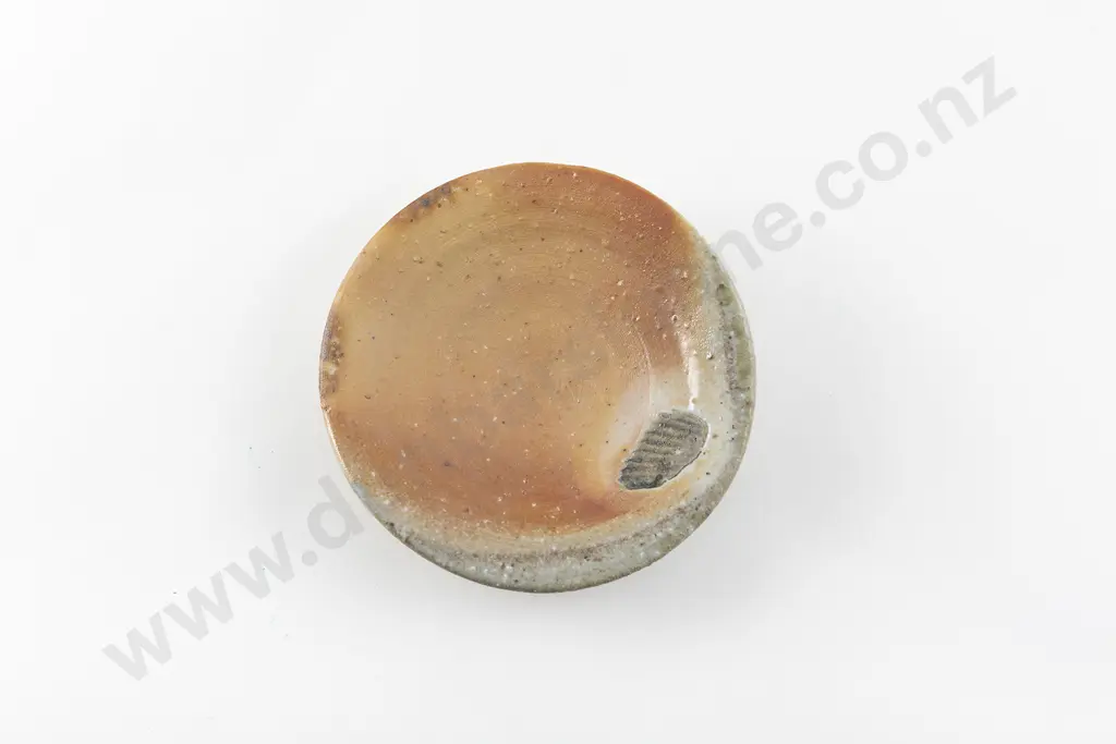 Richard Parker Small Shino Plate Image 1++