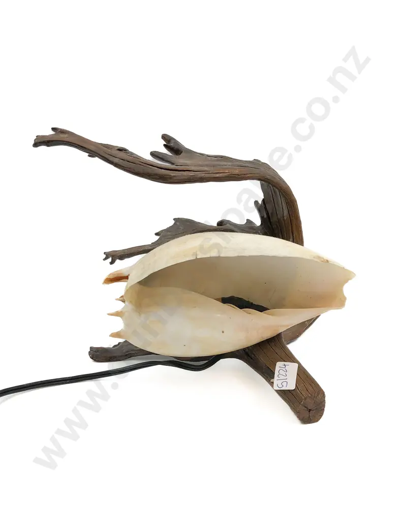 Seashell Table Lamp Image 1++