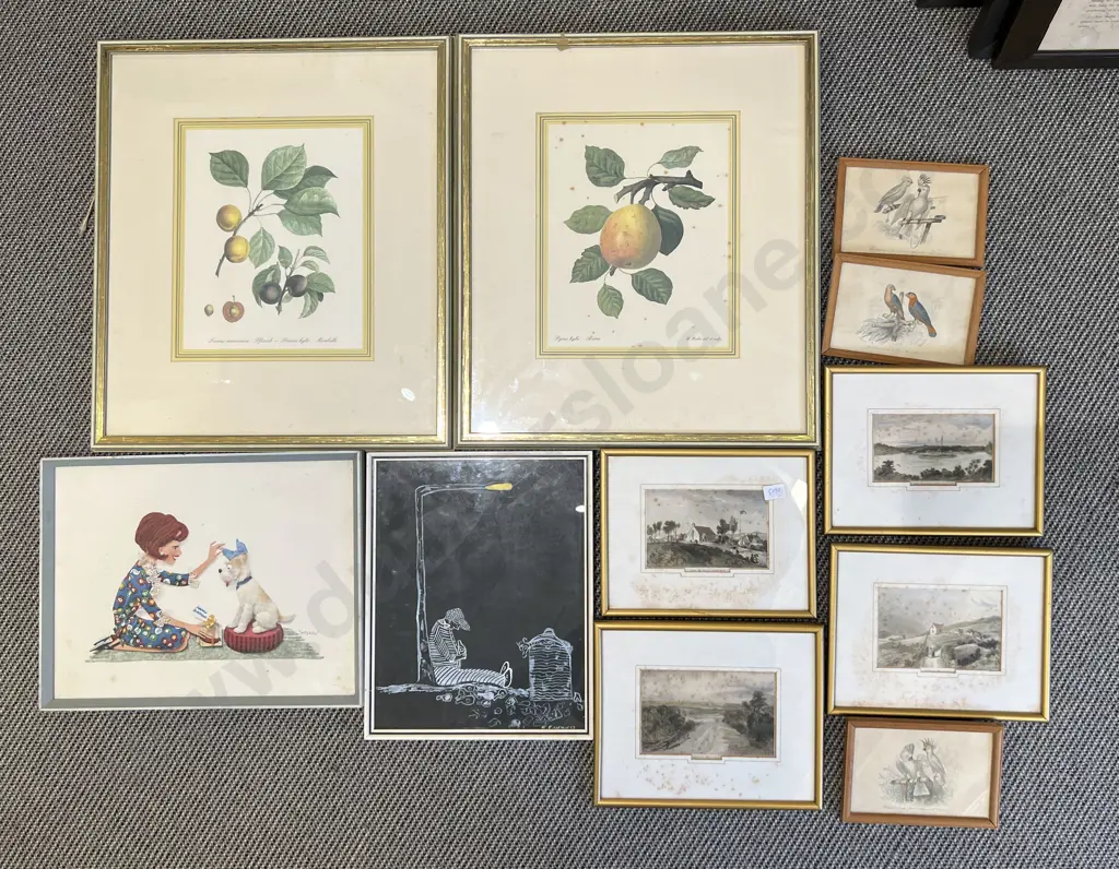 Box of Assorted Framed Works incl Botanical Studies Image 1++