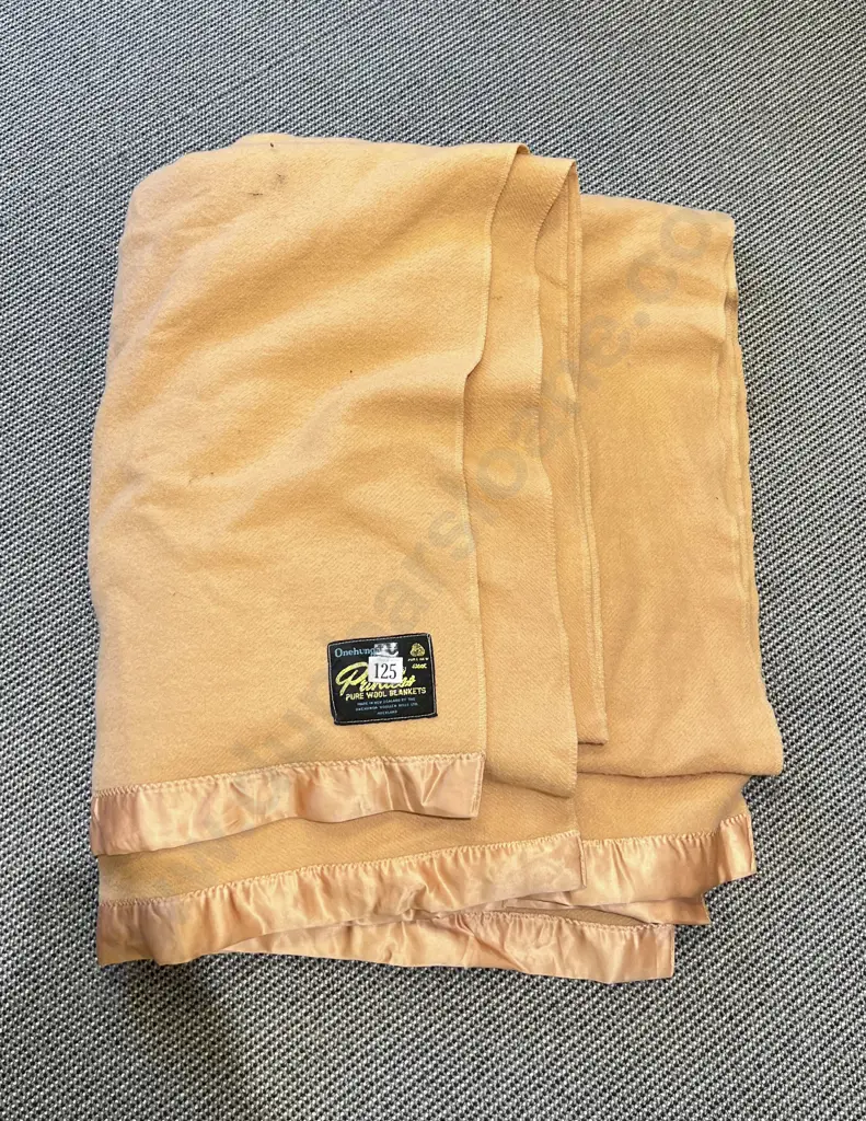 Vintage Princess Pure Wool NZ Made Blanket Image 1++