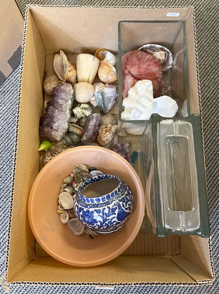 Box of Assorted Shells and Mineral Samples etc Image 1++