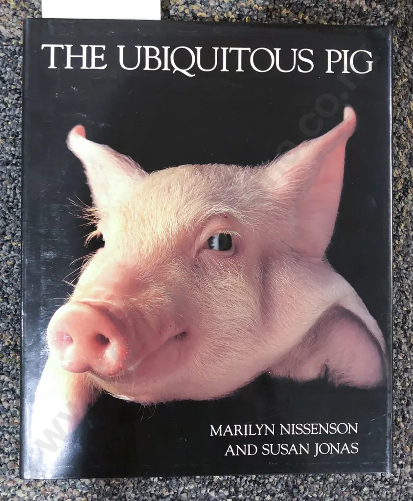 The Ubiquitous Pig Image 1++