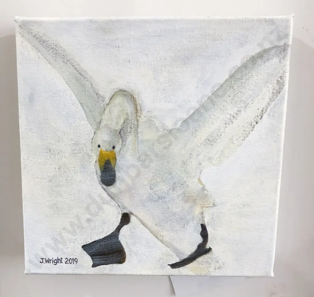 Judy Wright - Whooper Swan in the Snow Image 1++