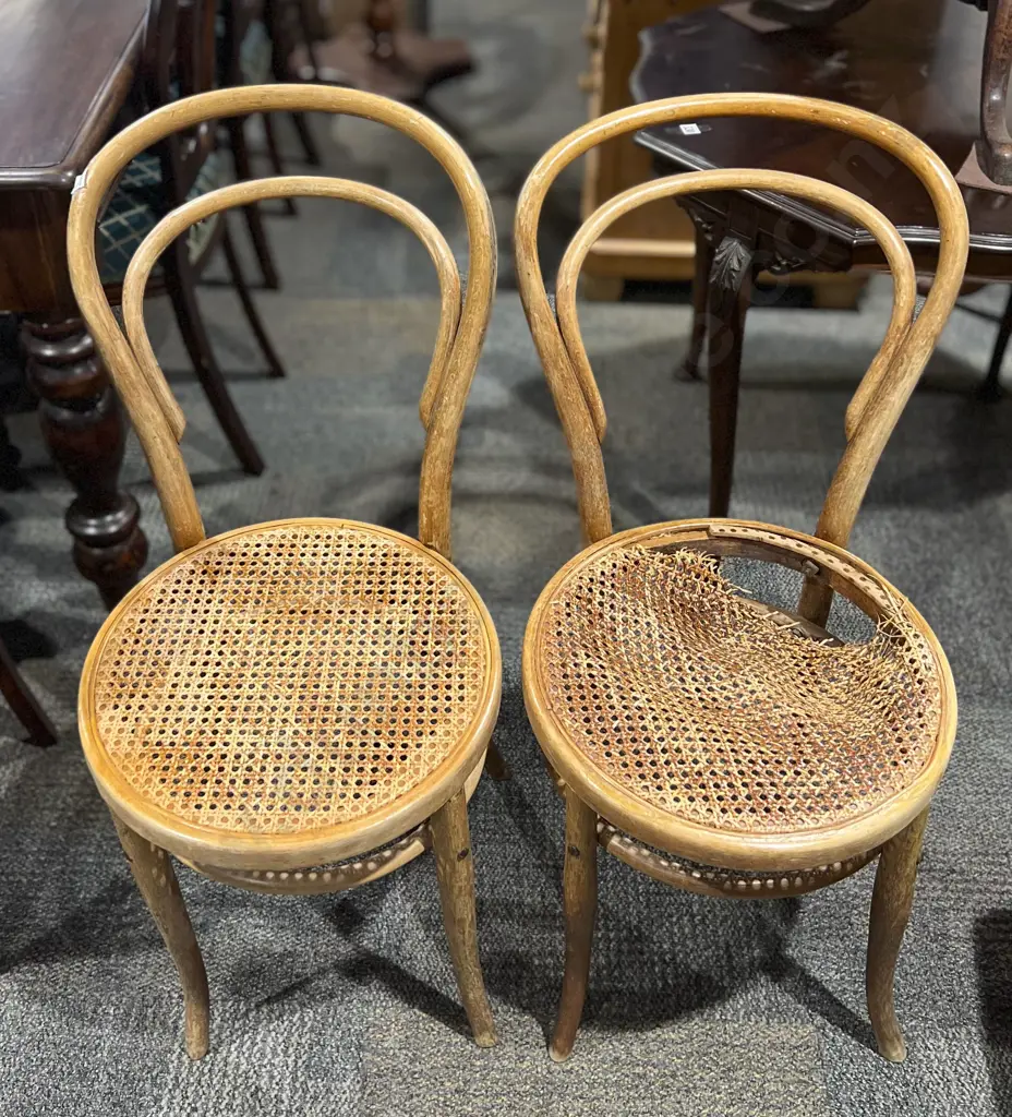 Two Bentwood Dining Chairs (a/f) Image 1++