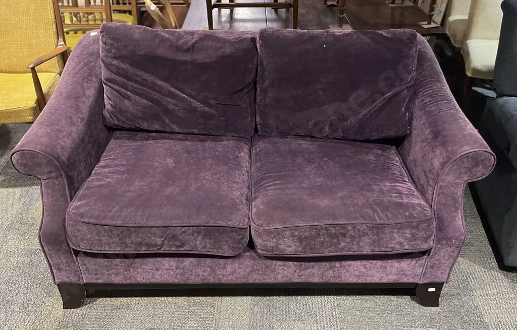 Rolled Arm Velvet Upholstered Two Seater Sofa Image 1++