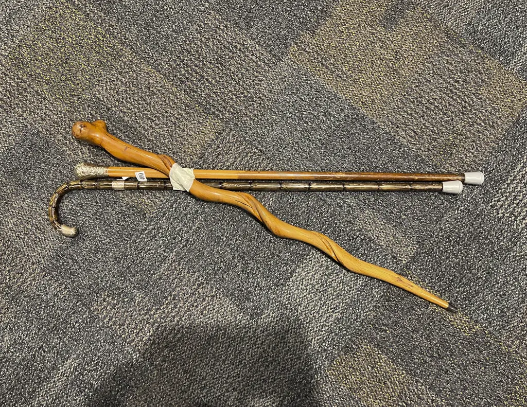 Natural Form Walking Stick & Two Others Image 1++