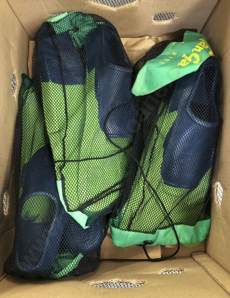 Three Pairs of Flippers Image 1++