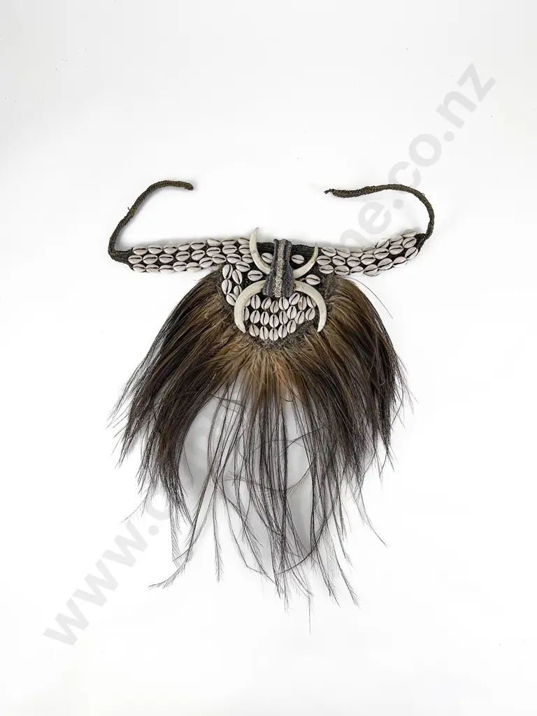 Papua New Guinea Headdress Image 1++