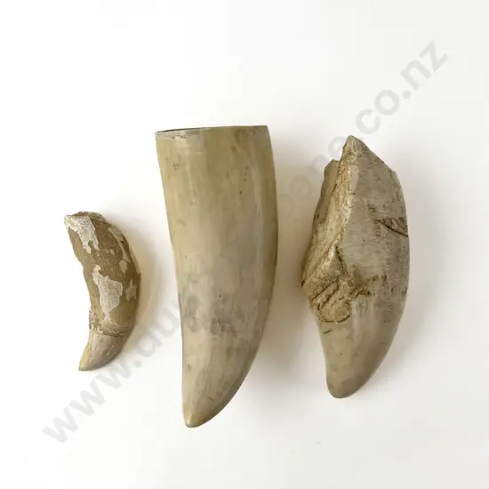 Three Whale Teeth