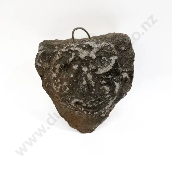 Caste Of A Dendroglyph Wall Hanging