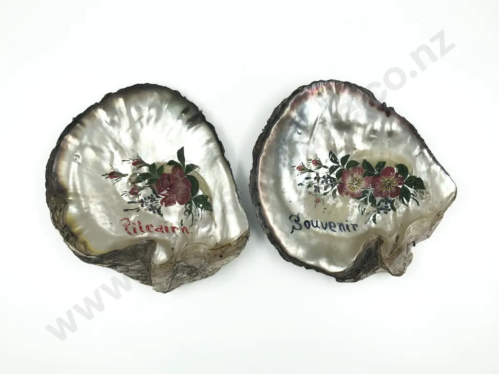 Two Pitcairn Island Painted Clam Shells Image 1++