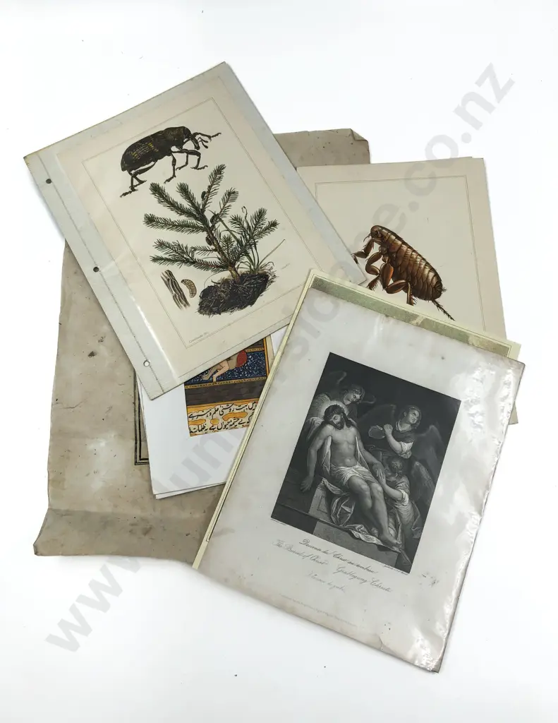 Small Qty of Loose Prints and Originals Including Two Nude Mogul Works Image 1++