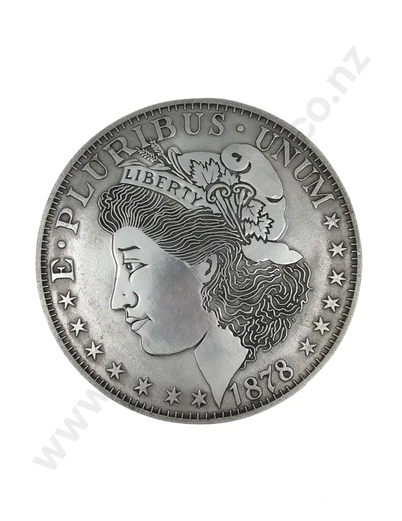 Large Aluminium 1878 US Coin Plaque Image 1++