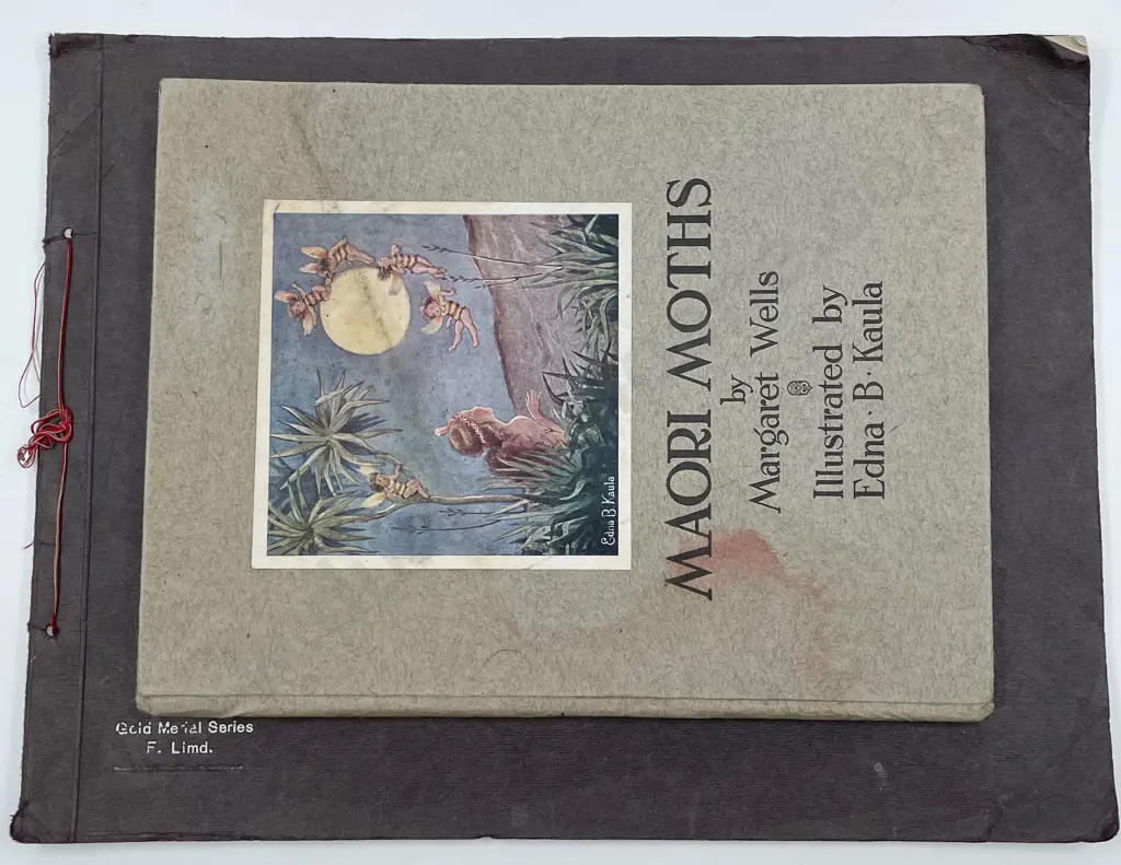 Maori Moths Together With Dunedin and Surroundings Illustrated Image 1++