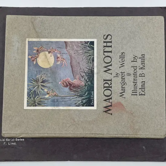 Maori Moths Together With Dunedin and Surroundings Illustrated