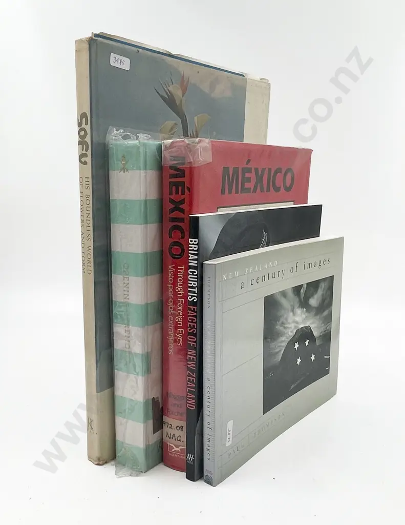 Five Assorted Non-Fiction Books Incl. Mexico Through Foreign Eyes Image 1++