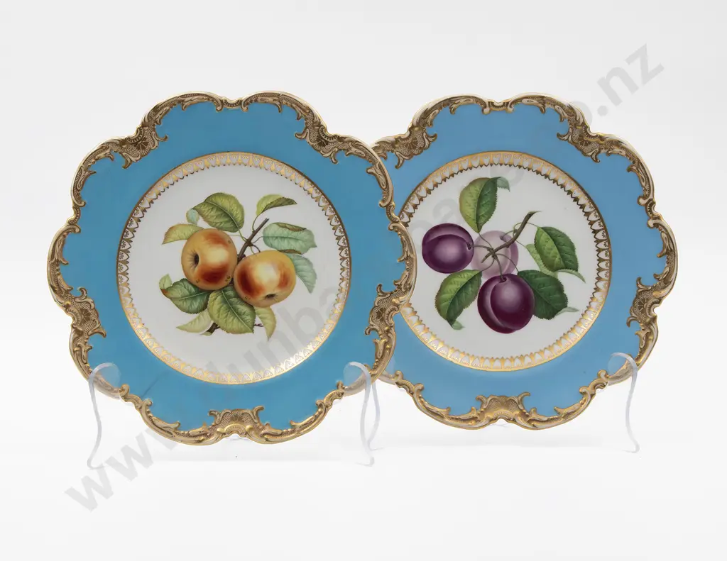 Pair Mid C19th English Botanical Plates Image 1++