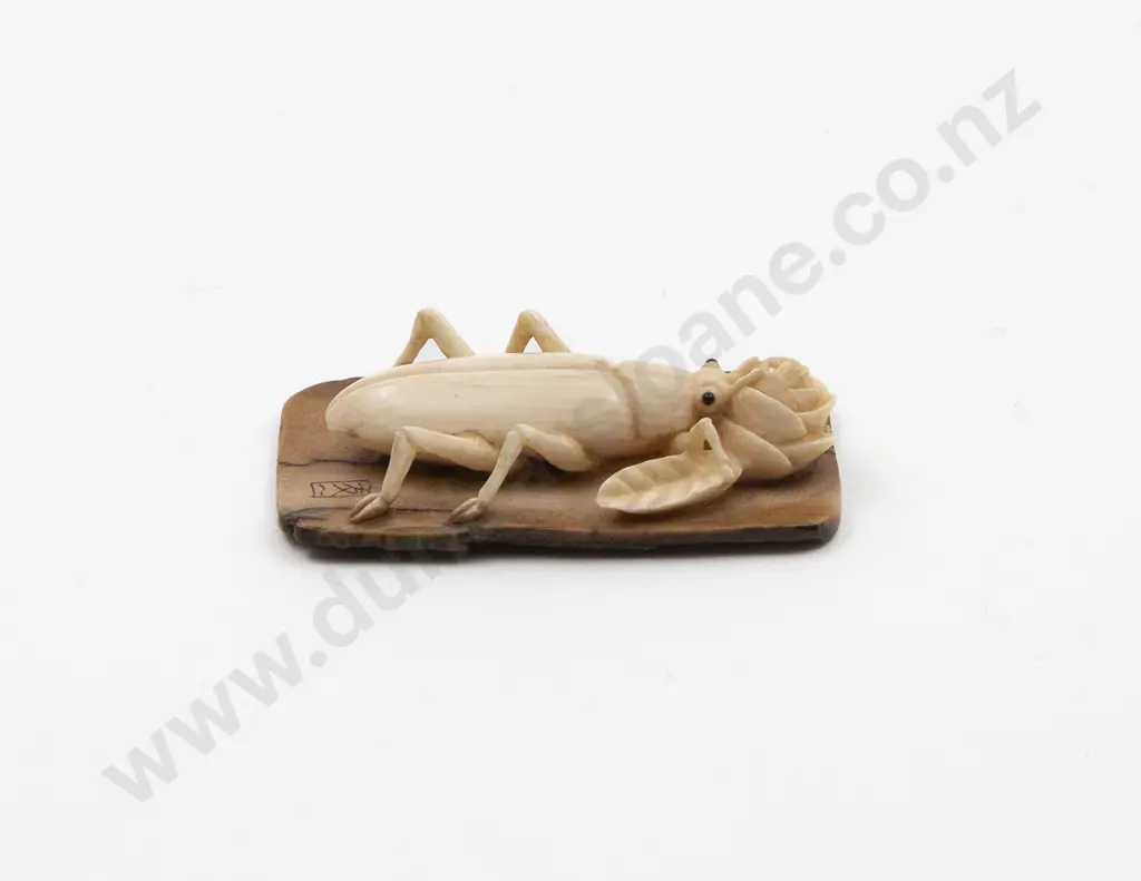 Antique Japanese Carved Ivory Netsuke Of A Beetle Image 1++