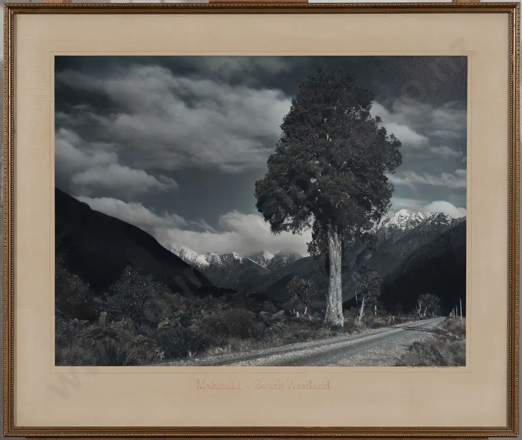 Whites Aviation Hand Coloured Photo of Mahitahi Image 1++