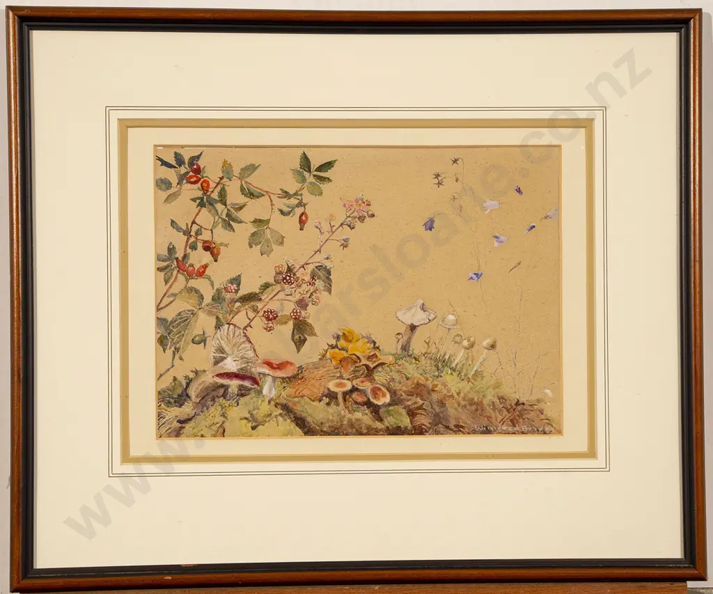 Winifred Briggs - Wild Mushrooms and Berries Image 1++